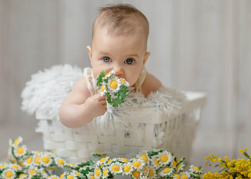 Cute Baby sitting in white basket and smelling flowers. Spring concept