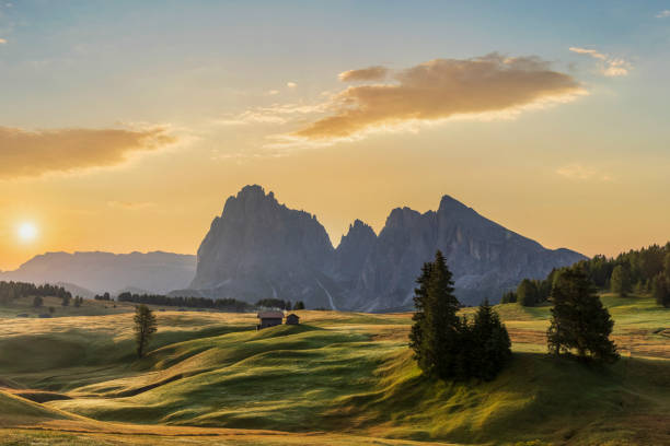 Autumn sunrise at Alpe di Siusi - Seiser Alm, Dolomites South Tyrol, Italy Dolomites, Italy, Siusi, Seiser Alm, Alto Adige - Italy trentino south tyrol stock pictures, royalty-free photos & images