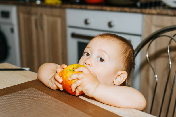 istock Funny caucasian toddler boy eating an apple while sitting in kitchen and looking at camera. Healthy food fruits for children 1390597309
