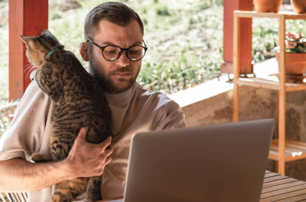 istock Male freelancer in glasses holds his cat and using laptop, looking at screen. 1390598547