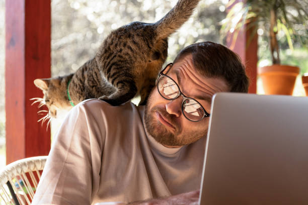 istock Cat jumping on man in glasses while man working on a  laptop. 1390598586