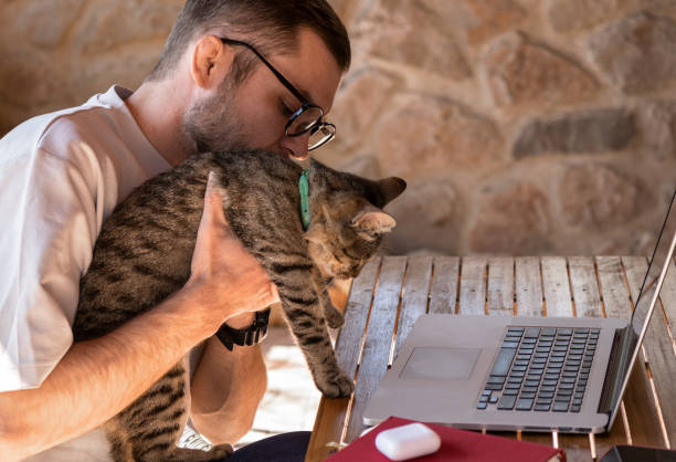 istock Attractive young adult man holds cat in his hands while using his laptop. 1390598646