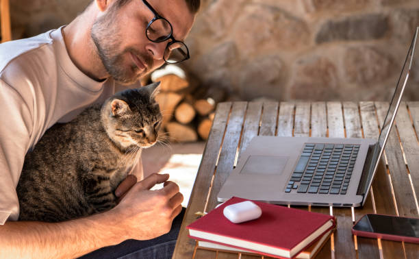 istock Cat sitting on owner's lap while owner working on the laptop. 1390598647