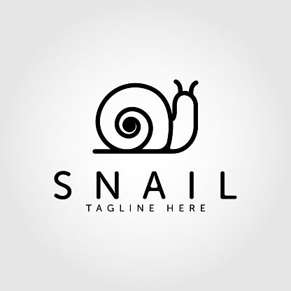line art snail design inspiration. vector illustration