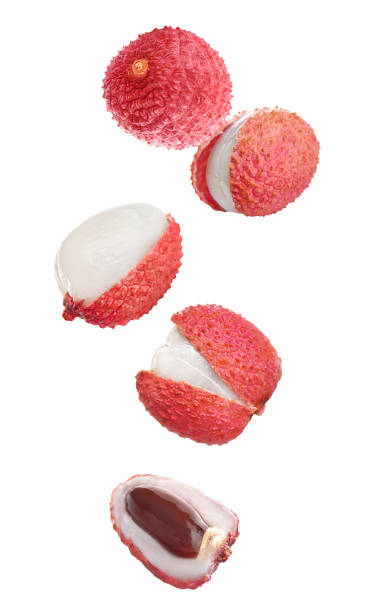 istock Set of falling delicious lychees on white background 1390605874