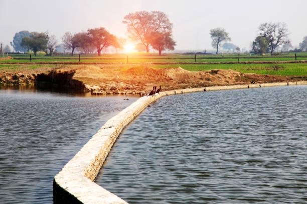 istock Beautiful landscape during sunrise 1390609628