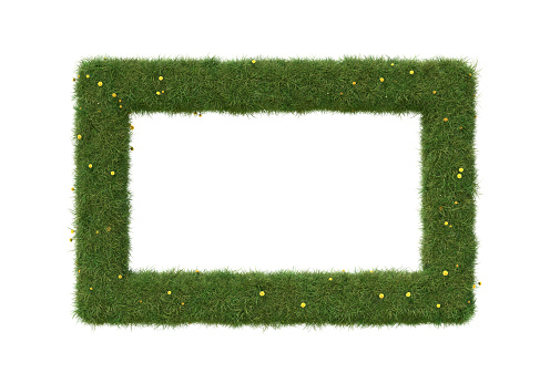Rectangle shape frame made of grass and dandelions, isolated on white. 3D image