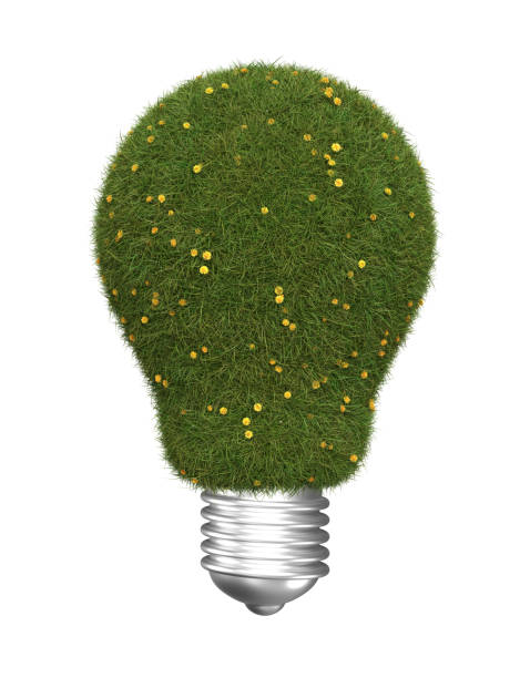 istock Abstract lightbulb covered with green grass. Symbol of green energy. 1390617954