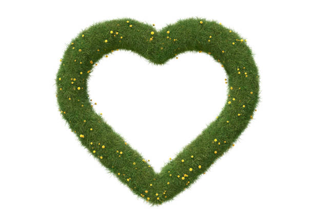 istock Heart shape frame made of grass and dandelions, isolated on white. 1390617957