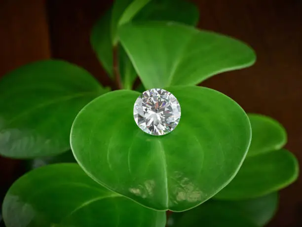 Round lab created lab grown diamond on green leaf background to signify eco-friendly credentials.