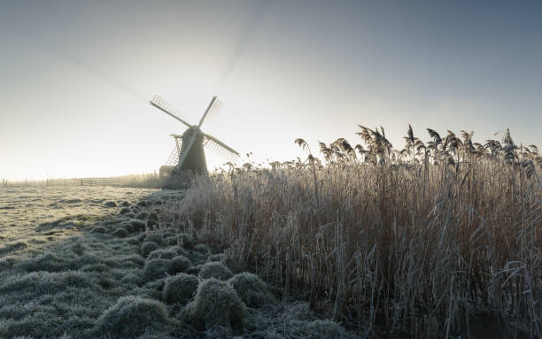 inviernos brumosos y helados por la mañana en el molino herringfleet xiv - suffolk winter england fog fotografías e imágenes de stock