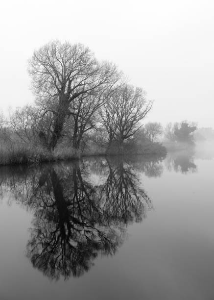 istock Misty morning at How Hill mill ii 1390622472