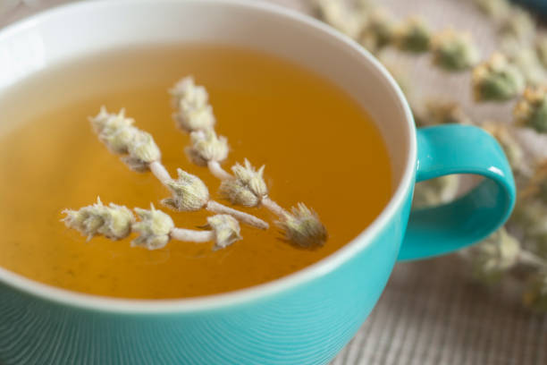 istock Tea in a turquoise cup with decoration - Greek mountain tea, herbal tea, white tea 1390629946