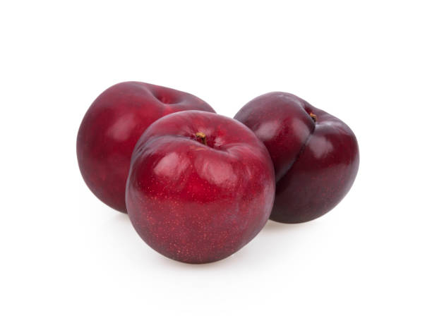 istock Red Plum isolated on white background. 1390631735