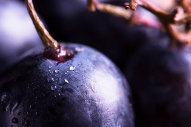 istock Close up of dark grapes 1390638509