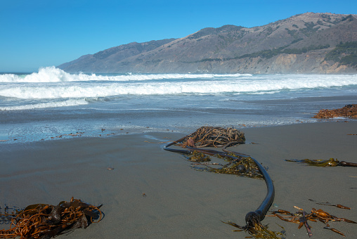 Kelp on beach at original Ragged Point cove at Big Sur on the Central Coast of California United States