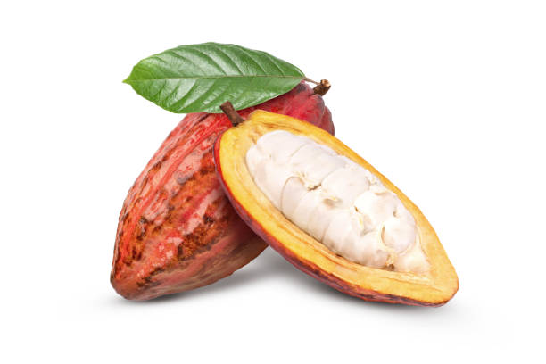 frutta fresca di cacao rosso - cocoa bean foto e immagini stock