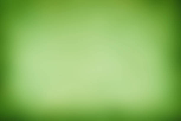 istock Green Vintage paper background 1390645040
