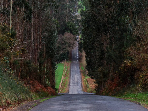 istock Galicia Landscape 1390646383
