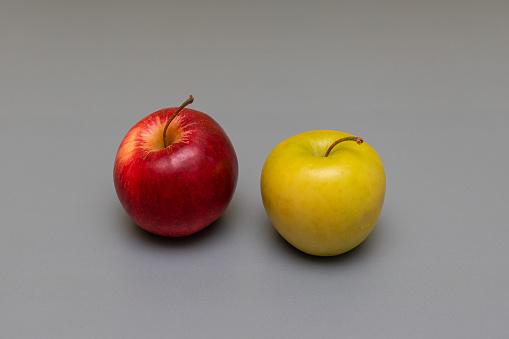fresh apples of different colors on a gray background