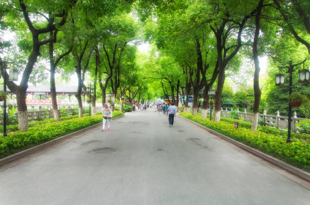 Zhenjiang, China. August 12, 2017.  Chinese tourists walking under a canopy of trees within the jinshan temple scenic area in Zhenjiang China, jiangsu province.