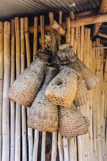 anguila de bambú trampa norther estilo tailandés - fish trap fotografías e imágenes de stock