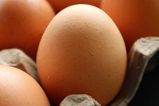 Eggs