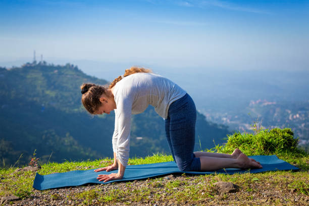 Woman practices yoga asana Marjariasana outdoors Sporty fit woman practices yoga asana Marjariasana - cat pose outdoors in Himalayas cat pose yoga stock pictures, royalty-free photos & images