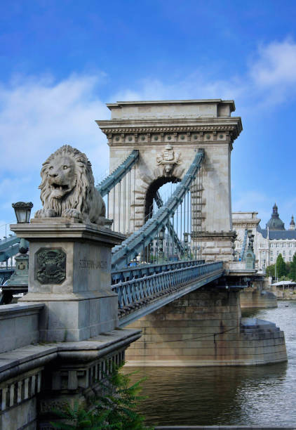 ブダペストのドナウ川に架かる歴史的な19世紀のチェーンブリッジ - chain bridge budapest bridge lion ストックフォトと画像