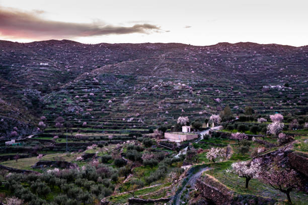Nature southern Spain blooming spring in January