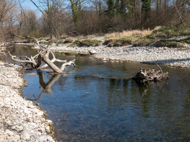 istock dry river landscapes in Switzerland/ global warming concept 1390673354