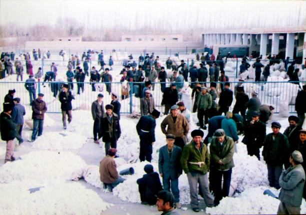синьцзян в 1996 году: уйгуры ждут покупателей, чтобы купить хлопок - uighur стоковые фото и изображения