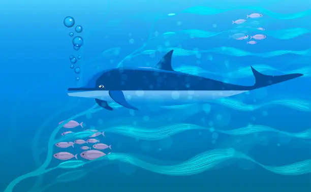 Vector illustration of The dolphin swimming about in the sea. Fish and plants in the sea