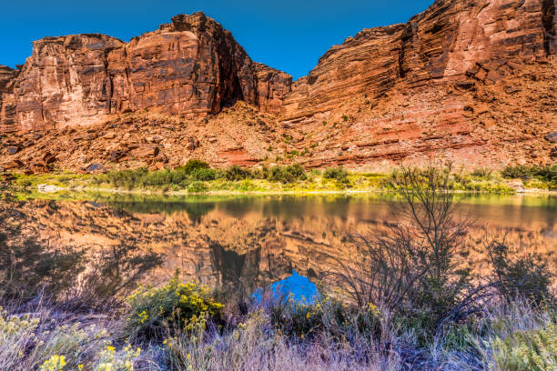 istock Colorado River Rock Canyon Reflection Moab Utah 1390679590