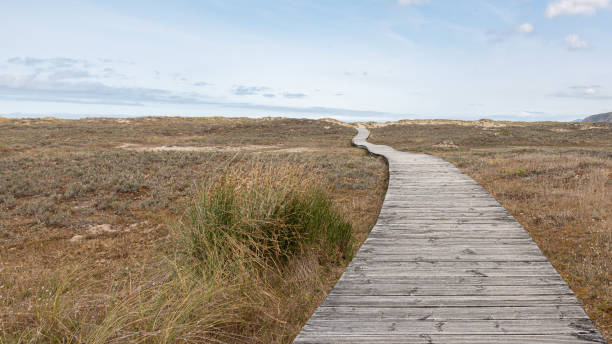 istock Road and nature. It is about wooden pavement, floor, passage, path, path or passageway with nature to walk and connect with the beach in the sea 1390681445