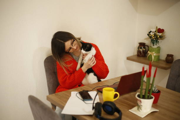 istock Young woman works from home 1390683272