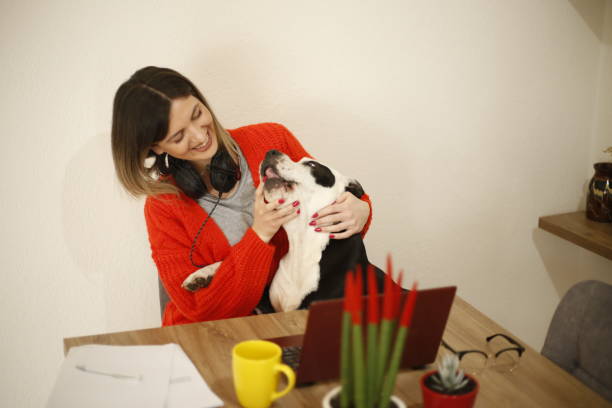 istock Young woman works from home 1390683430