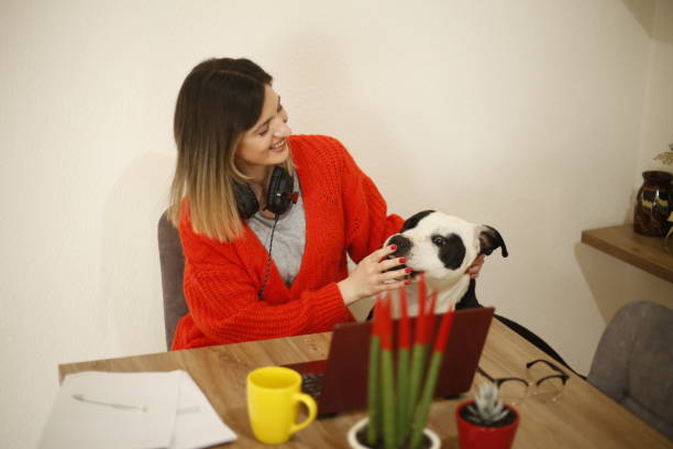 istock Young woman works from home 1390683475