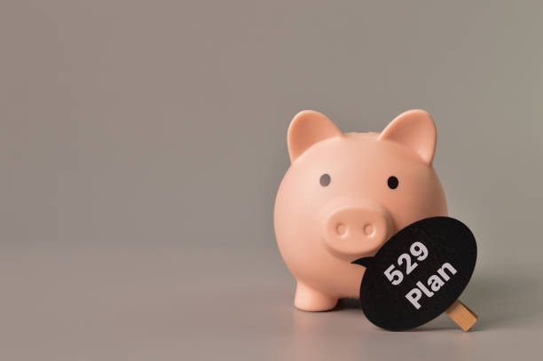 istock Piggy bank and wooden tag with text 529 PLAN. Copy space 1390686089