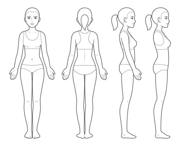 78 Cartoon Of Human Body Outline Front And Back Illustrations & Clip Art -  iStock