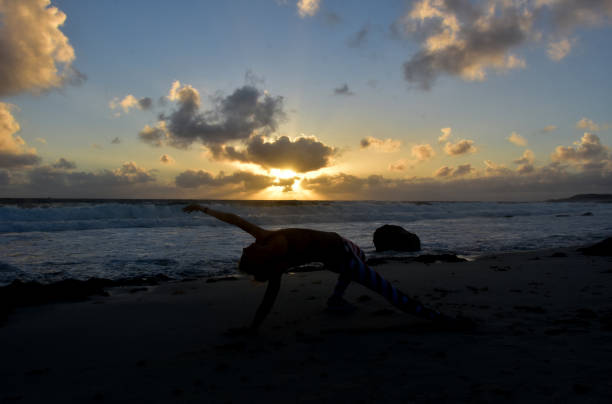 istock Silhouetted Flipped Dog at Sunrise in Aruba 1390686873