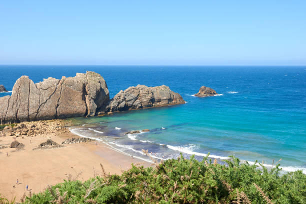 istock An extensive beach with transparent waters and surrounded by vegetation. 1390688369