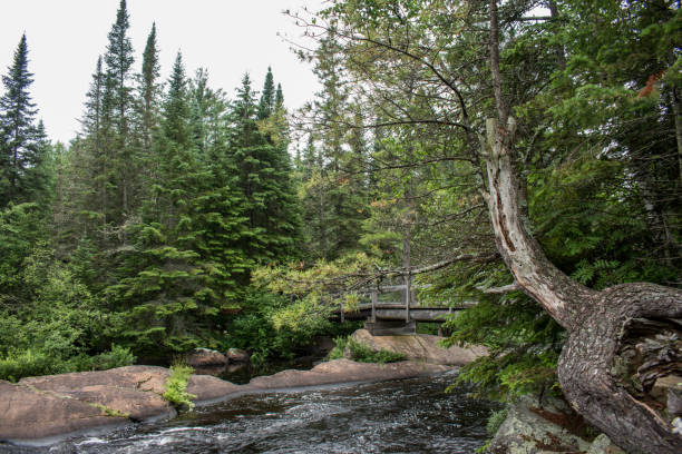 istock Wooden Bridge over the Rapids 1390691997