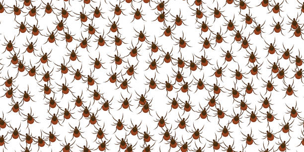 ilustrações, clipart, desenhos animados e ícones de padrão sem costura do inseto ácaro, controle de insetos - insecticide vector illness mustache