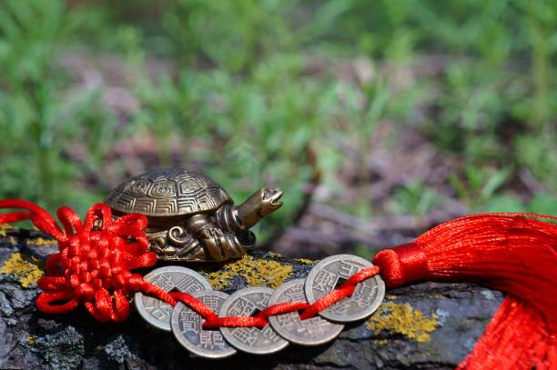 istock Metal turtle feng Shui close-up. 1390696786
