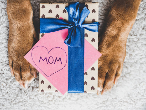 istock Lovable, adorable brown puppy and gift box 1390697201