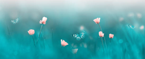 istock Pink wild flowers and butterflies. Spring summer background. Banner format. 1390700935