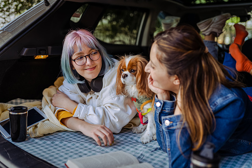 Happy family and their dog going on a car trip in spring.