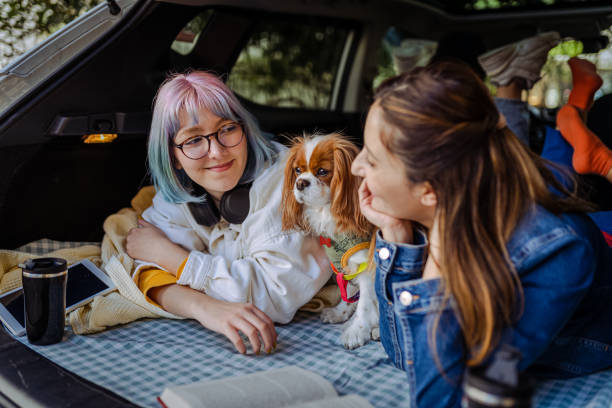 Happy family and their dog going on a car trip in spring. stock photo