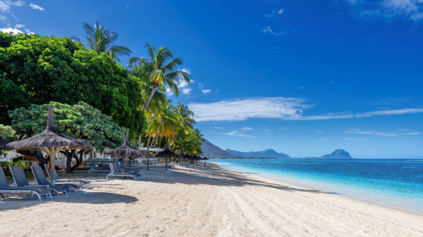 istock Beautiful tropical beach in paradise island 1390710544
